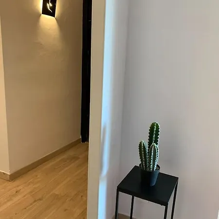 Apartment Beau T4 100m2 Palais Des Rois De Majorque